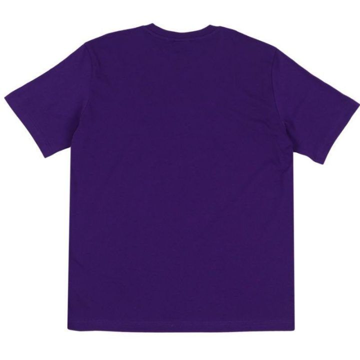 Vyriški medvilniniai marškinėliai Champion SS Tee, violetiniai