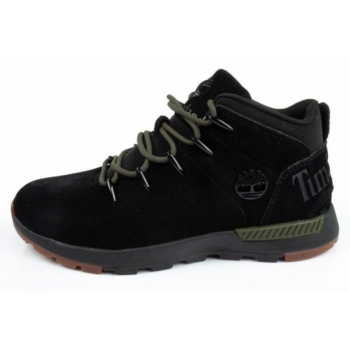 Vyriški odiniai žygio batai Timberland Lace Up, juodi