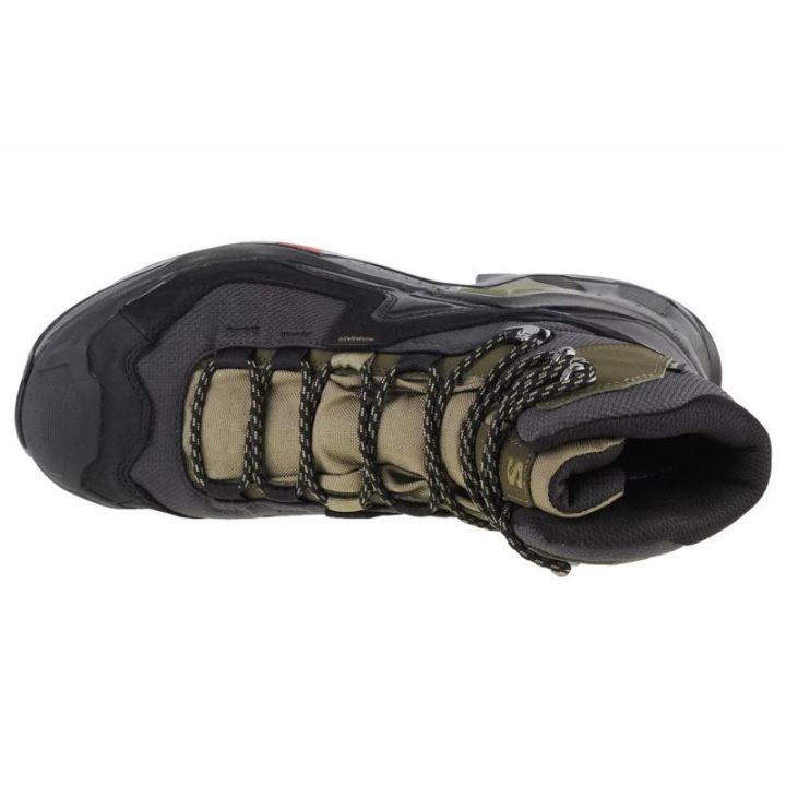 Vyriški auliniai batai žygiams Salomon Quest Element GTX, žali
