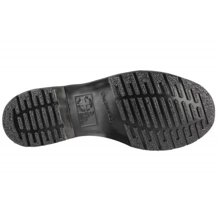 Moteriški odiniai aulinukai Dr. Martens 1460 Pascal Mono