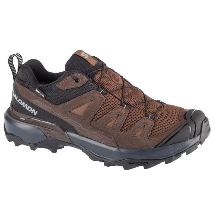 Vyriški žygio batai Salomon X Ultra 360 LTR GTX, rudi