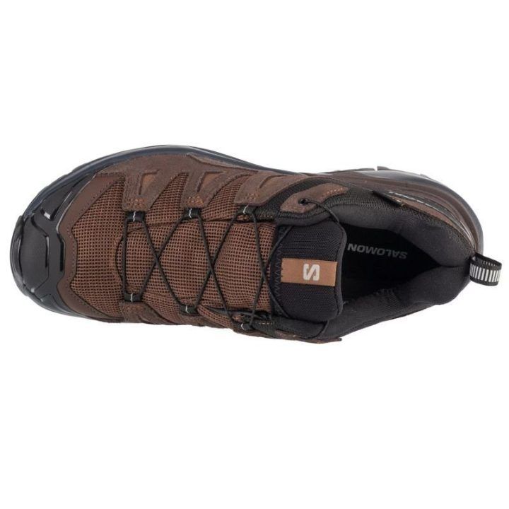 Vyriški žygio batai Salomon X Ultra 360 LTR GTX, rudi