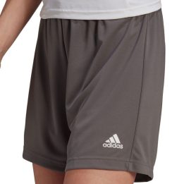 Moteriški treniruočių šortai adidas Entrada 22, pilki
