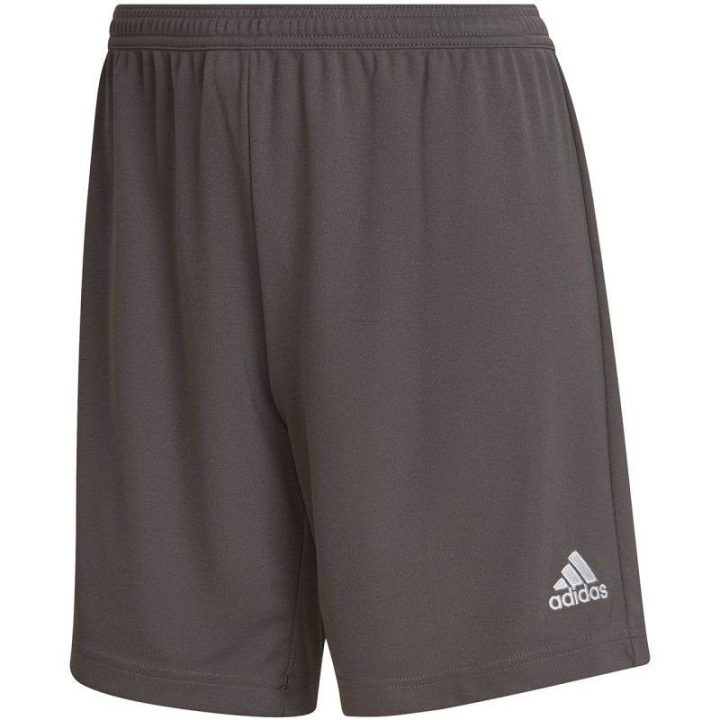 Moteriški treniruočių šortai adidas Entrada 22, pilki