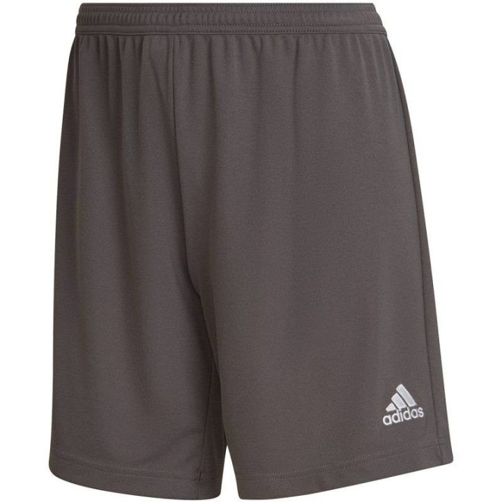 Moteriški treniruočių šortai adidas Entrada 22, pilki