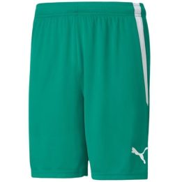 Vyriški šortai Puma teamLIGA, žali