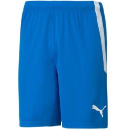 Vyriški treniruočių šortai Puma teamLIGA, mėlyni