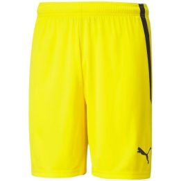 Vyriški treniruočių šortai Puma teamLIGA, geltoni