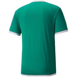 Vyriški futbolo marškinėliai įprasto kirpimo Puma teamLIGA, žali