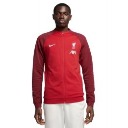 Vyriškas džemperis Nike Liverpool FC Academy Pro