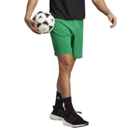 Vyriški treniruočių šortai adidas Entrada 22, žali