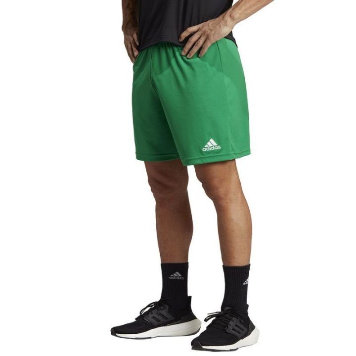 Vyriški treniruočių šortai adidas Entrada 22, žali