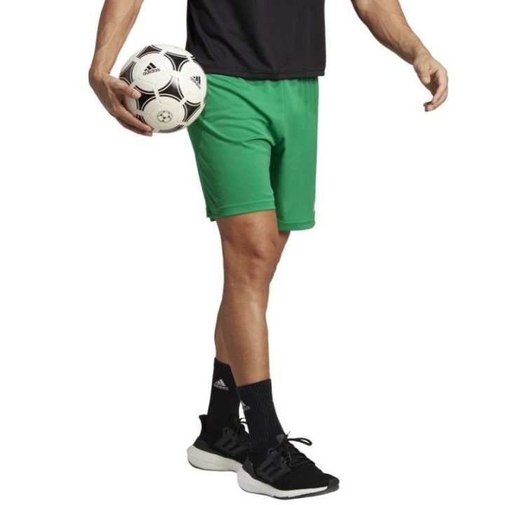 Vyriški treniruočių šortai adidas Entrada 22, žali