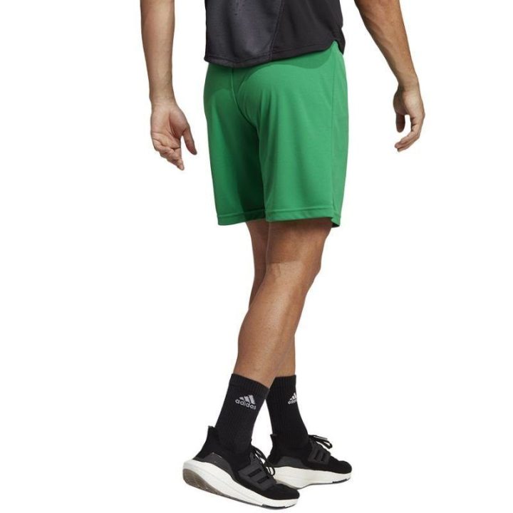 Vyriški treniruočių šortai adidas Entrada 22, žali