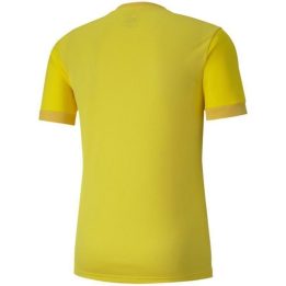 Vyriški futbolo marškinėliai Puma teamGOAL 23, geltoni