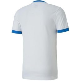 Vyriški futbolo marškinėliai Puma teamGOAL 23, balti ir mėlyni