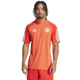 Vyriški treniruočių marškinėliai adidas FC Bayern Training, raudoni