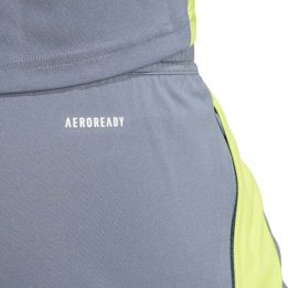 Vyriški treniruočių šortai su raišteliu adidas Tiro 24, pilki