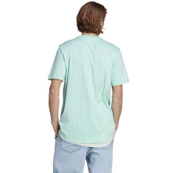 Vyriški marškinėliai adidas All SZN Graphic Tee, mėtų
