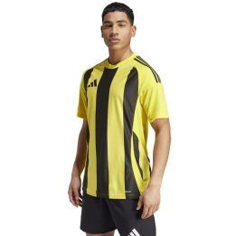 Vyriški rungtynių marškinėliai adidas Striped 24, geltoni ir juodi