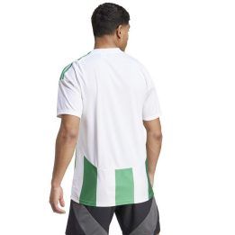 Vyriški rungtynių marškinėliai adidas Striped 24, balti ir žali