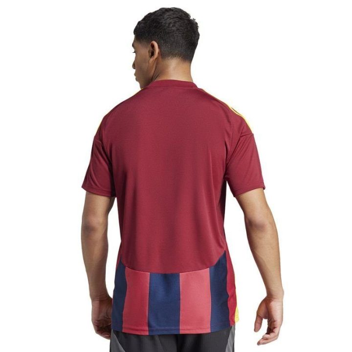 Vyriški rungtynių marškinėliai adidas Striped 24, įvairiaspalviai
