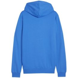 Vyriškas džemperis su gobtuvu Puma Team Goal Casuals, mėlynas