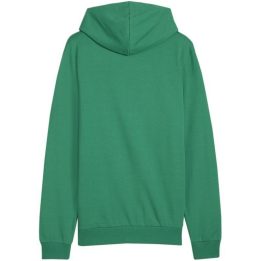 Vyriškas medvilninis džemperis su gobtuvu Puma Team Goal Casuals, žalias