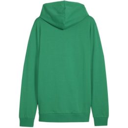 Vyriškas džemperis su gobtuvu Puma Team Goal Casuals, žalias