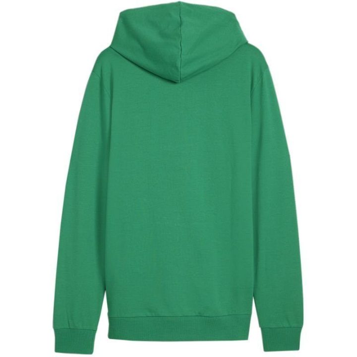 Vyriškas džemperis su gobtuvu Puma Team Goal Casuals, žalias