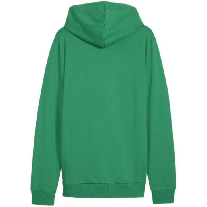 Vyriškas džemperis su gobtuvu Puma Team Goal Casuals, žalias