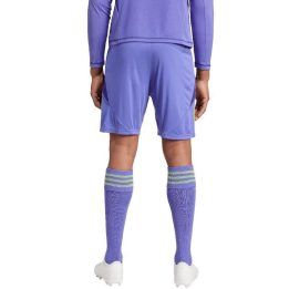 Vyriški treniruočių šortai adidas Tiro 24, violetiniai