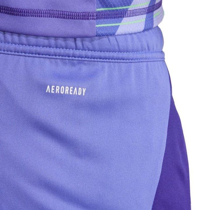 Vyriški treniruočių šortai adidas Tiro 24, violetiniai