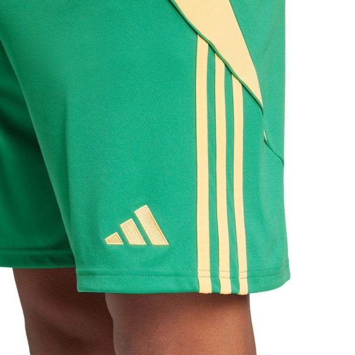 Vyriški treniruočių šortai su vidiniu raišteliu adidas Tiro 24, žali