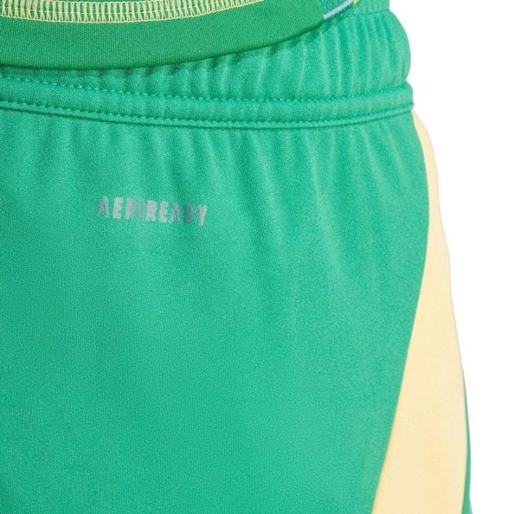 Vyriški treniruočių šortai su vidiniu raišteliu adidas Tiro 24, žali