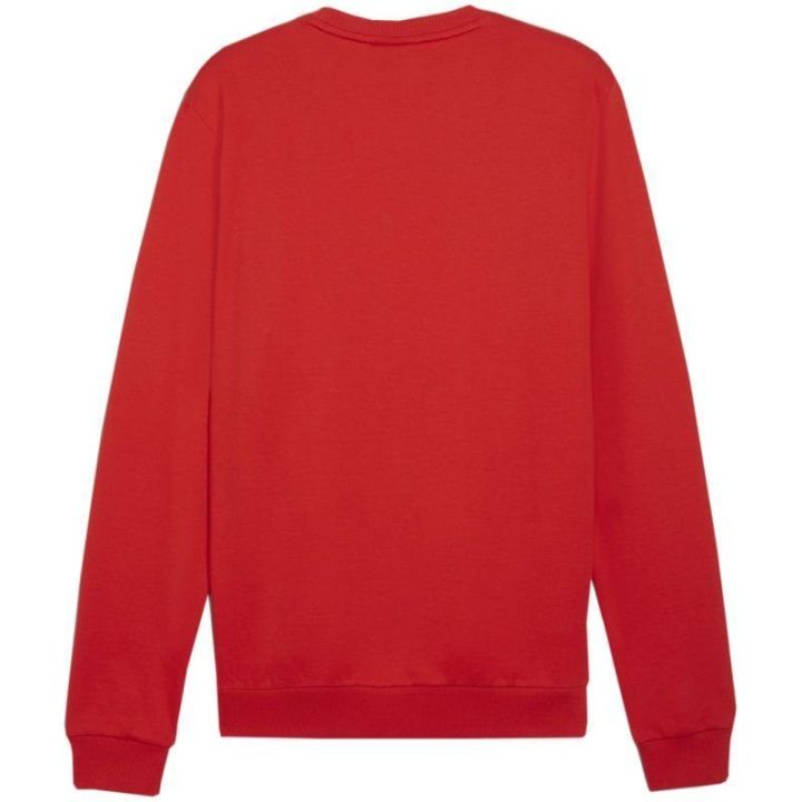 Vyriškas medvilninis džemperis Puma Team Goal Casuals 658592
