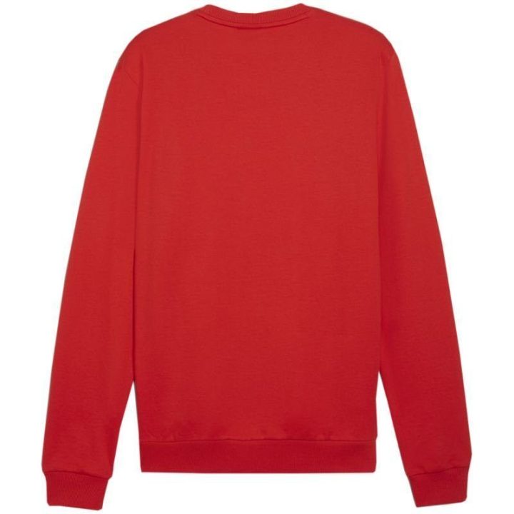 Vyriškas medvilninis džemperis Puma Team Goal Casuals 658592