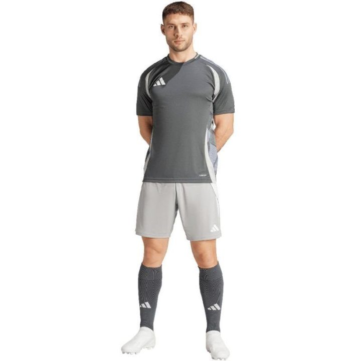 Vyriški treniruočių šortai adidas Tiro 24, pilki