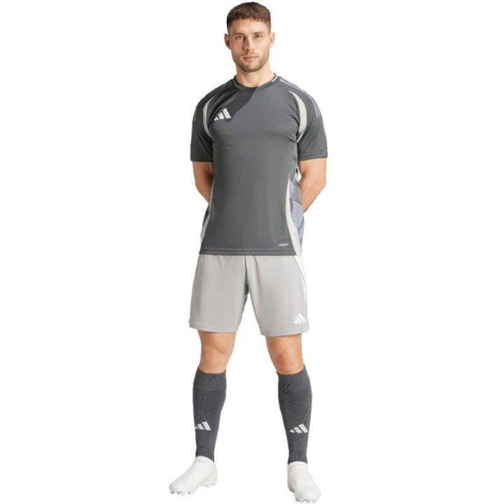 Vyriški treniruočių šortai adidas Tiro 24, pilki