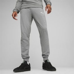 Vyriškos sportinės kelnės Puma Team Goal Casuals, pilkos