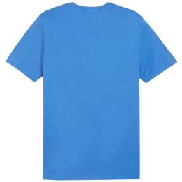 Vyriški medvilniniai polo marškinėliai Puma Team Goal Casuals, mėlyni