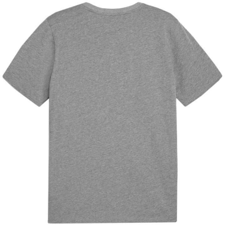 Vyriški medvilniniai marškinėliai Puma Team Goal Casuals, pilki