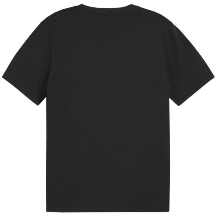 Vyriški medvilniniai marškinėliai Puma Team Goal Casuals, juodi