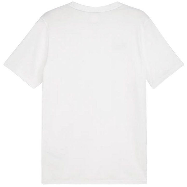 Vyriški medvilniniai marškinėliai Puma Team Goal Casuals Tee, balti