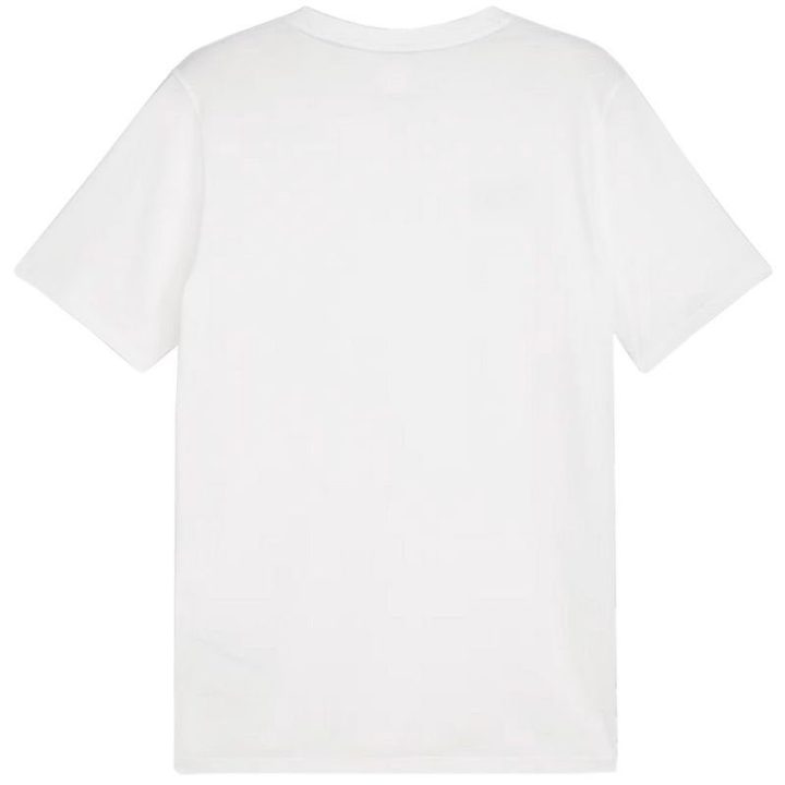 Vyriški medvilniniai marškinėliai Puma Team Goal Casuals Tee, balti