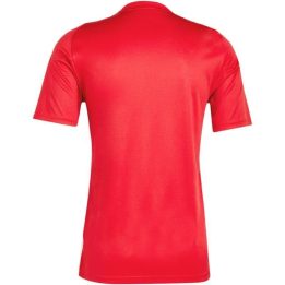 Vyriški prigludusio kirpimo futbolo marškinėliai adidas Tiro 24, raudoni