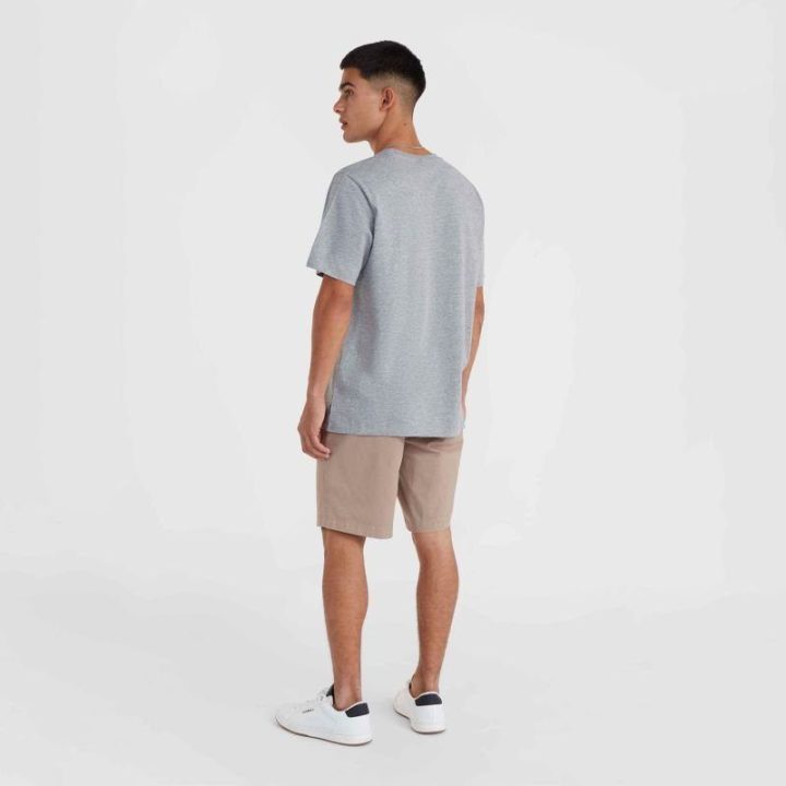 Vyriški medvilniniai šortai O'Neill Essentials Chino