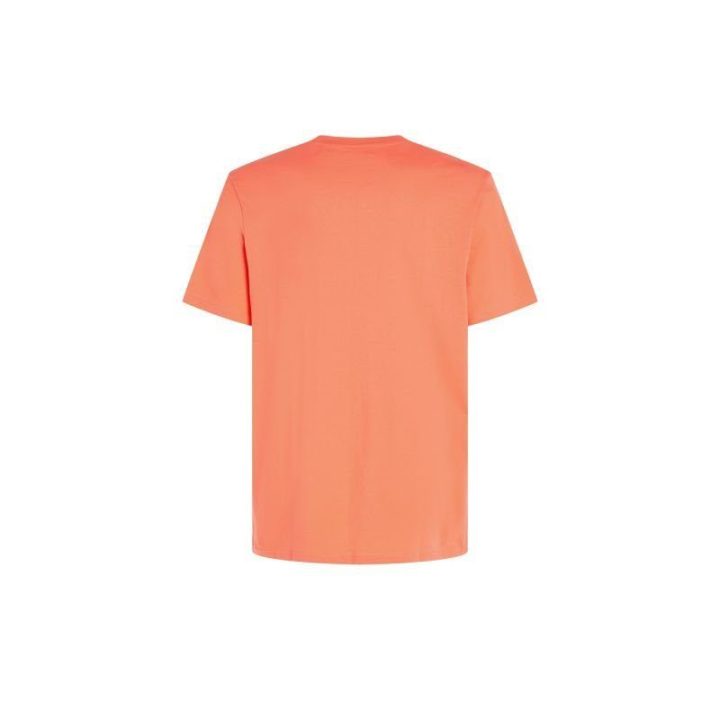 Vyriški medvilniniai marškinėliai O'Neill Mix & Match Wave