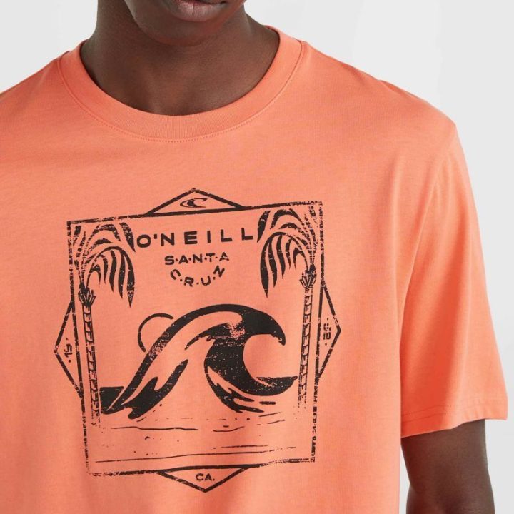 Vyriški medvilniniai marškinėliai O'Neill Mix & Match Wave