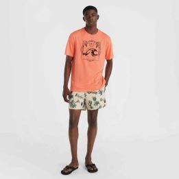 Vyriški maudymosi šortai O'Neill Mix&Match Cali Print, 38 cm